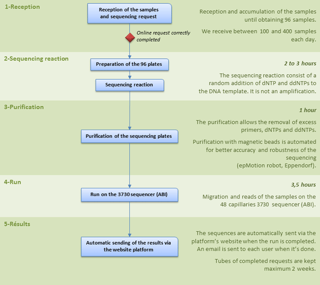 Sequencing pipeline